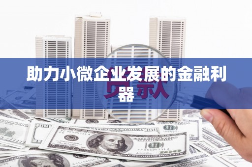 三亚助力小微企业发展的金融利器